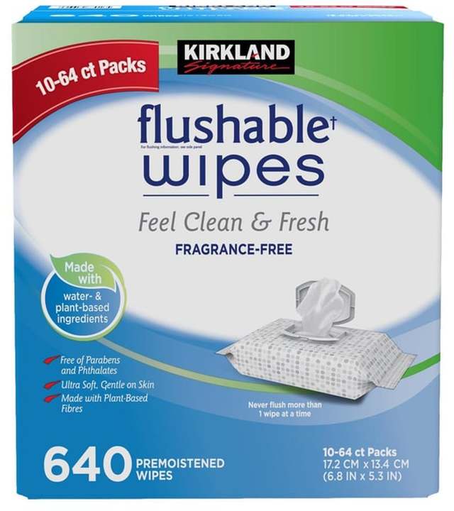 Kirkland Signature Flushable Wipes (640 pk)