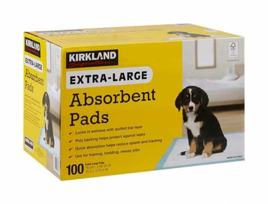 Kirkland Signature Absorbent Pads (100 pk)