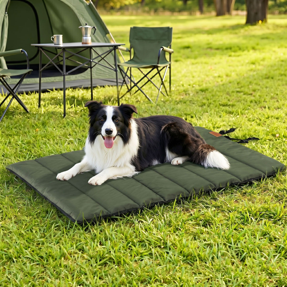 i.Pet Outdoor Dog Bed Large Water-resistant Washable Foldable Travel Dog Mat Green