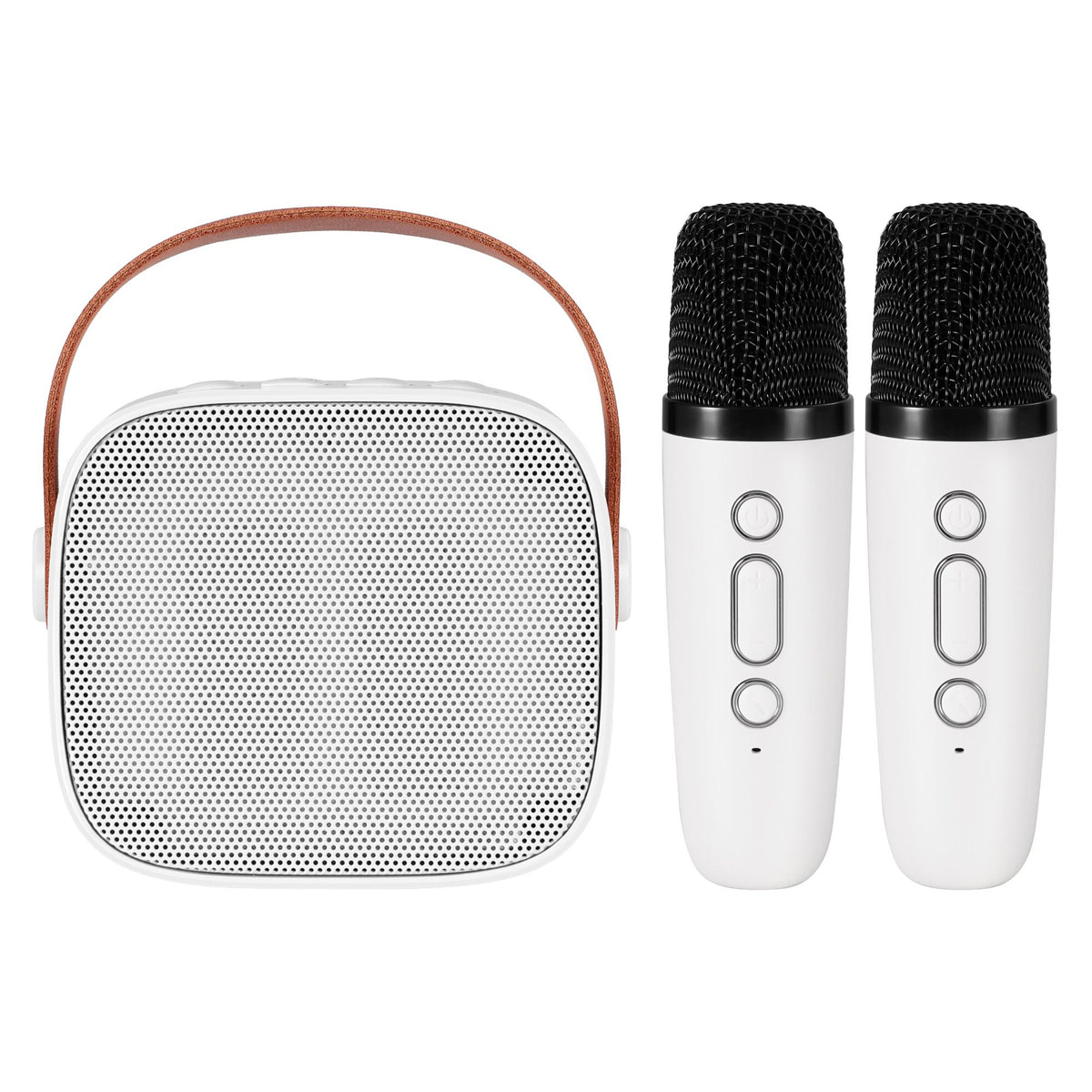 Alpha Mini Portable Karaoke Machine for Adults Kids with 2 Wireless Microphones
