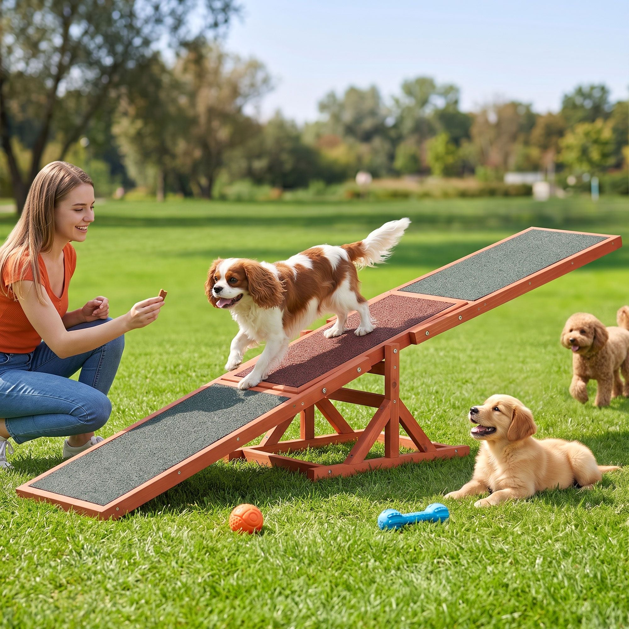 i.Pet Dog Agility Equipment Pet Seesaw Obedience Training - PET-AGILITY-180-BR