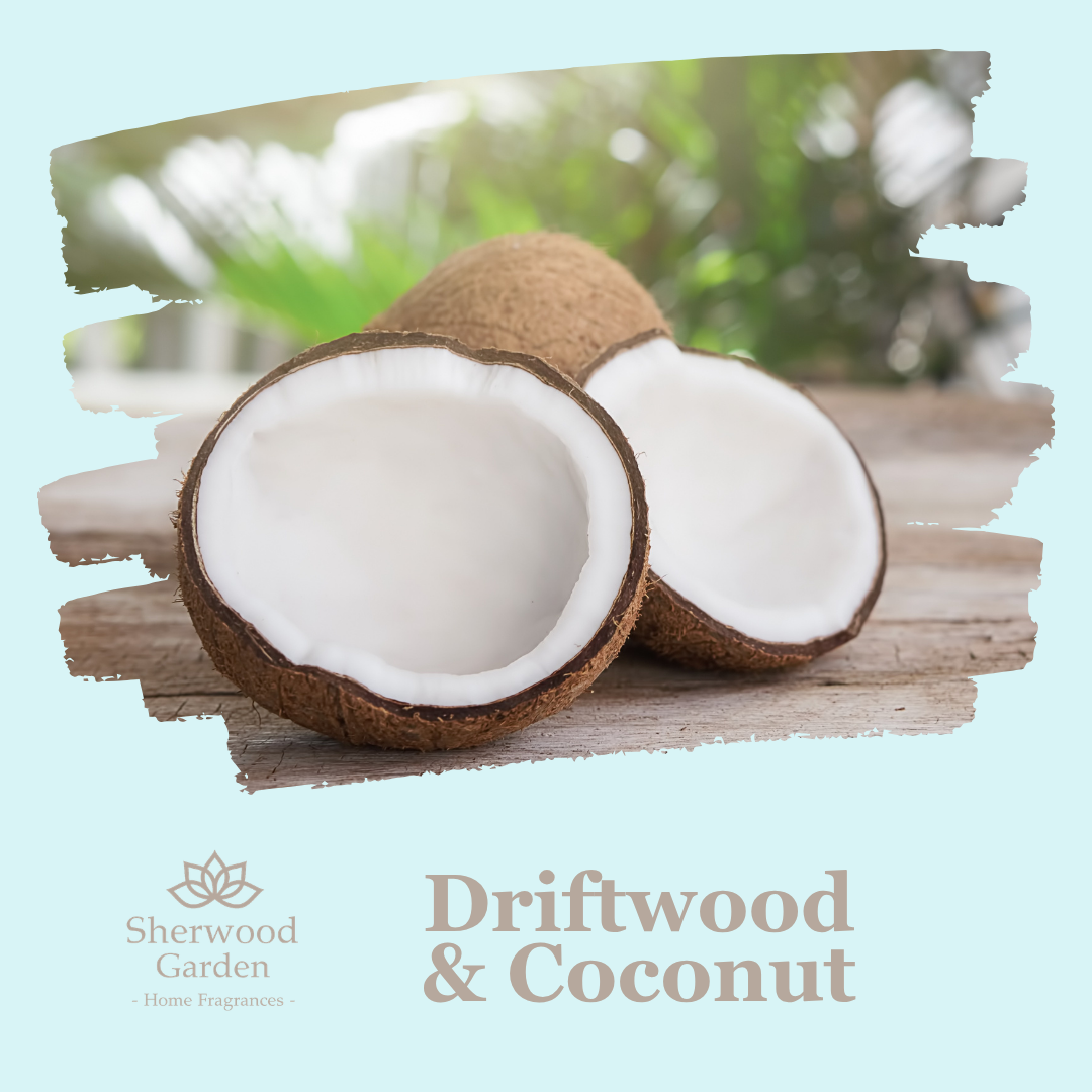 Driftwood & Coconut Soy Candle Tin 165g