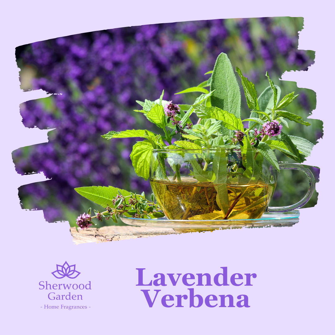 Lavender Verbena Soy Candle Tin 165g