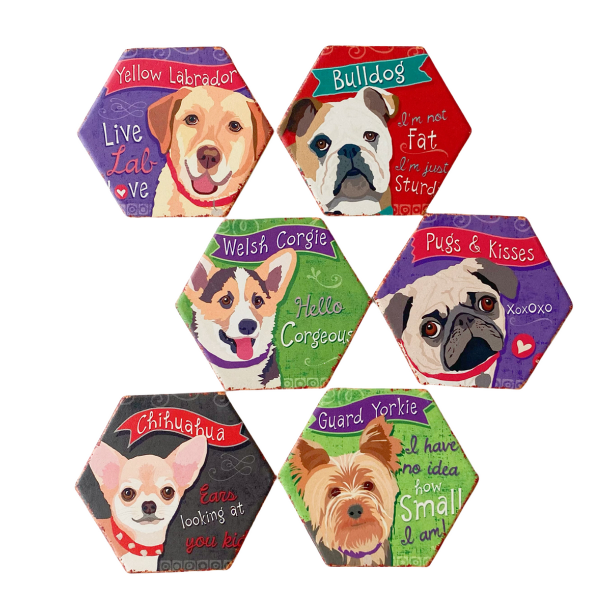 Drink Coasters Set of 6 with Holder, Cute Dog Absorbent Ceramic Coasters with