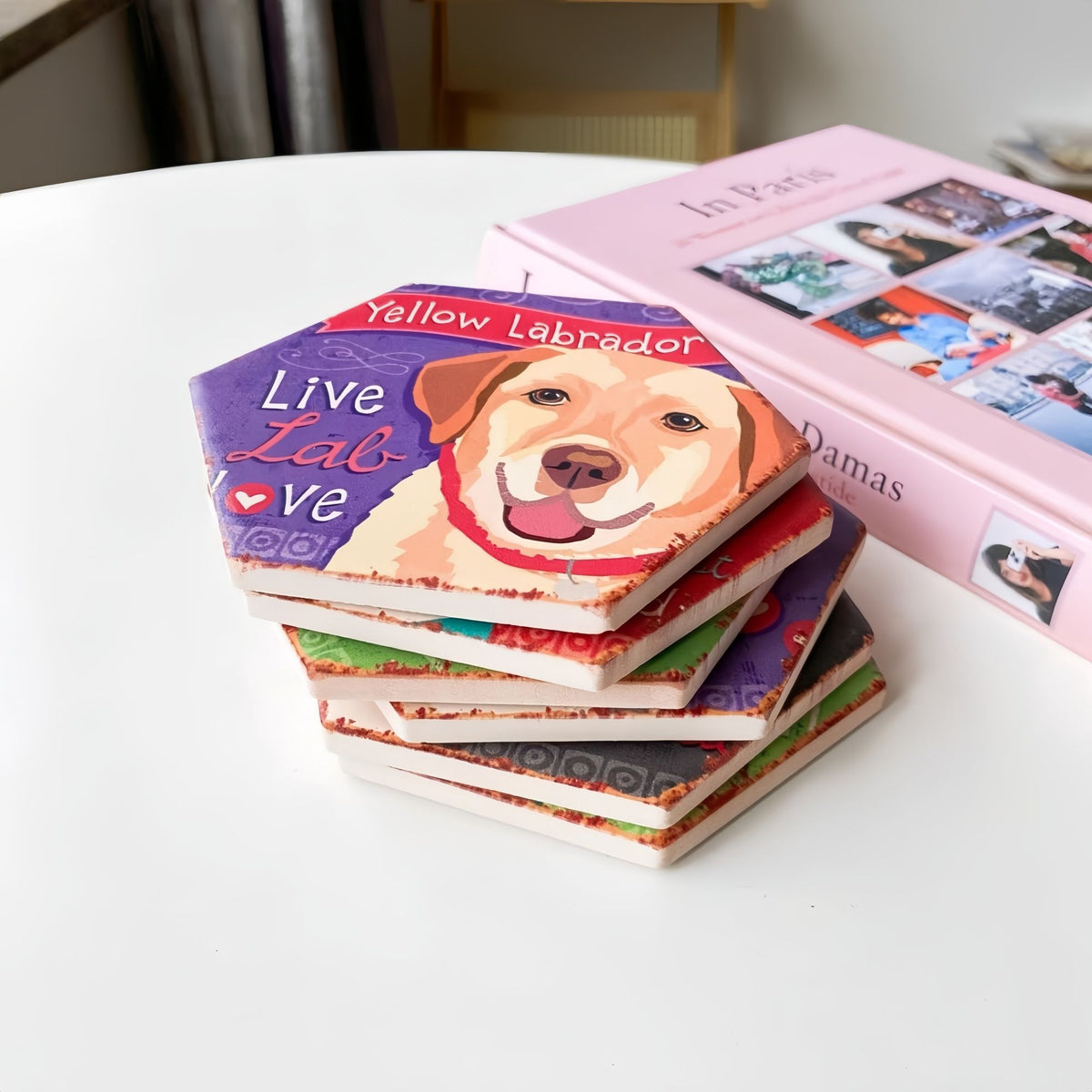 Drink Coasters Set of 6 with Holder, Cute Dog Absorbent Ceramic Coasters with