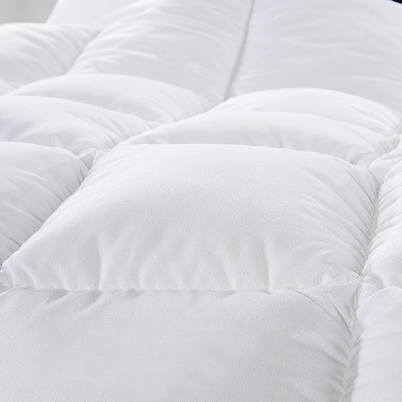 500GSM Soft Goose Feather Down Quilt Duvet 95% Feather 5% Down… - V160-201060