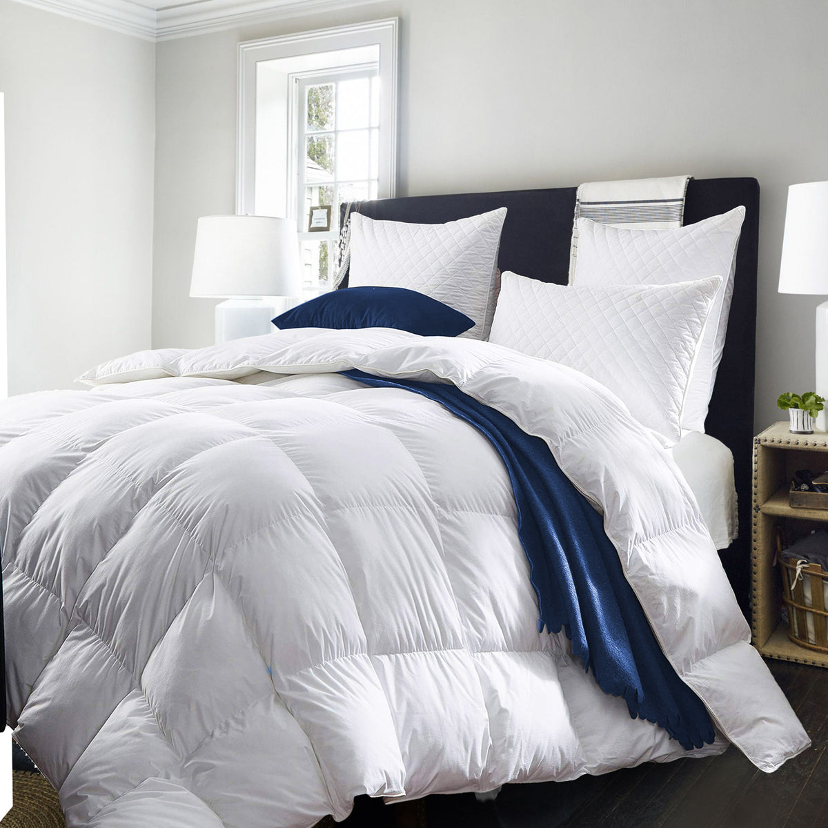 Royal Comfort Quilt 50% Duck Down 50% Duck Feather 233TC Cotton… - V160-201516