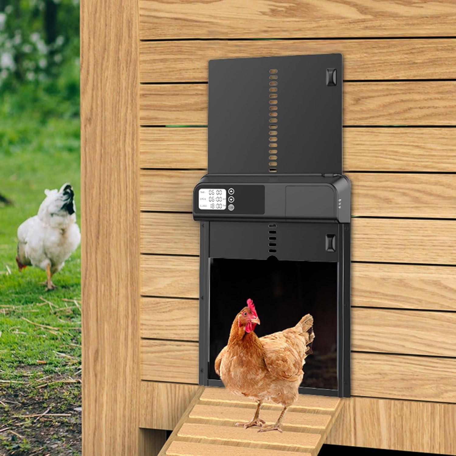CARLA HOME Automatic Chicken Coop Door with Timer & LCD Screen, Anti-Pinch Safety, Easy Battery Operation & Weatherproof for Outdoor Coops