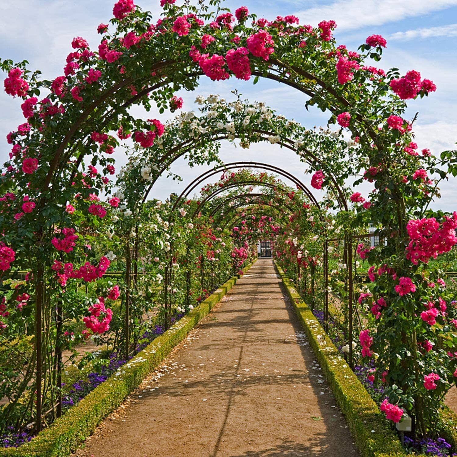 Metal Garden Arch Trellis Iron Plant Support Outdoor Climbing