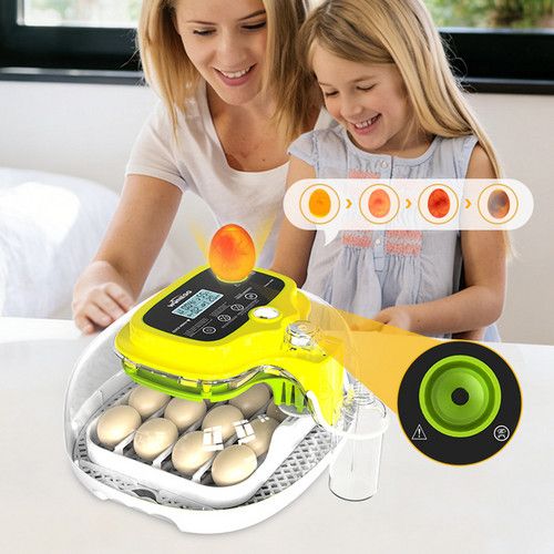 Automatic Egg Incubator 16-30 Eggs Chicken Duck Poultry Hatcher Breeder Candler