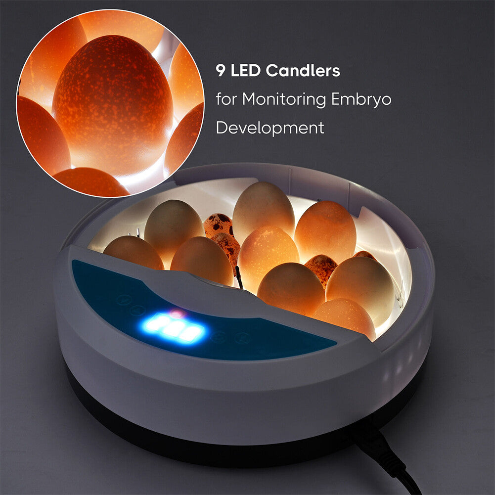 9 Egg Incubator Semi-Automatic Digital Temperature Chicken Duck Eggs Poultry