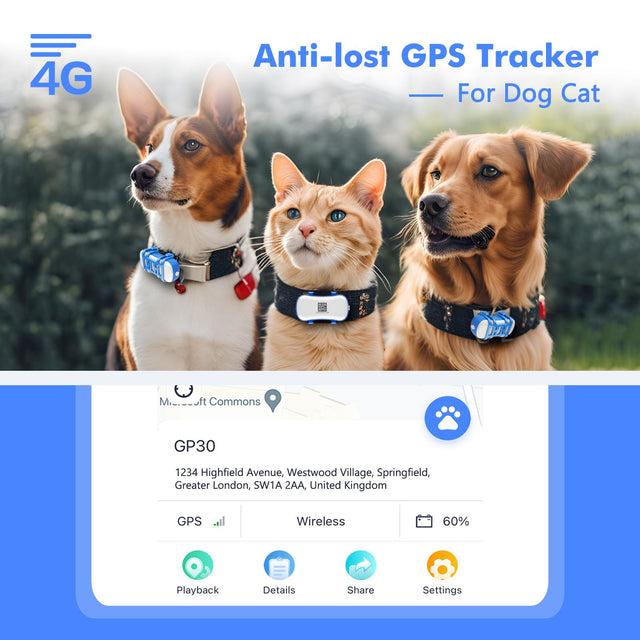 4G Dog Cat GPS Tracker Waterproof iOS Android Live Tracking Light Sound Search
