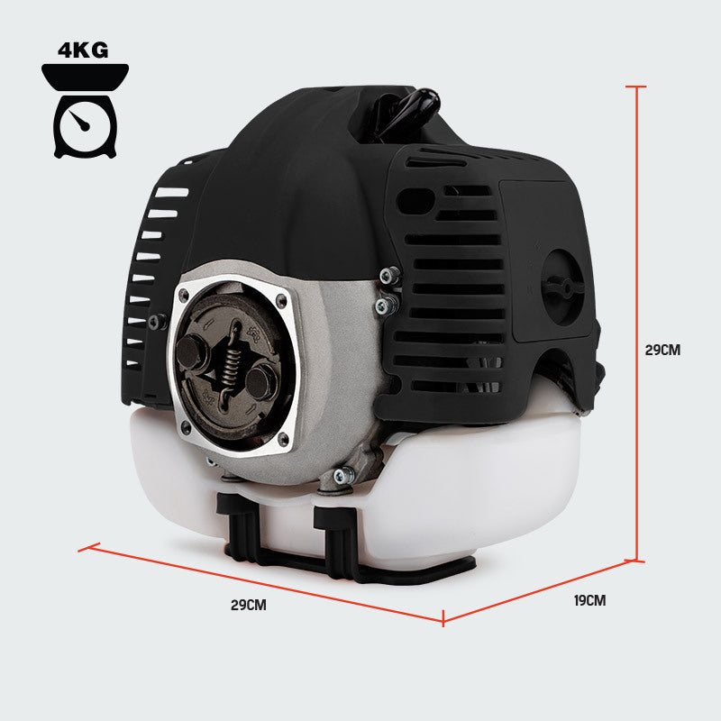 Baumr-AG Replacement Engine Motor for Pole Tool Chainsaw Br - V219-PLTENGBMRA07X