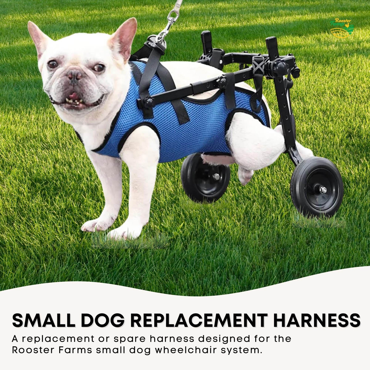 Rooster Farms Replacement Harness for Dog Wheelchair S - Little Dogs Up to 10Kg