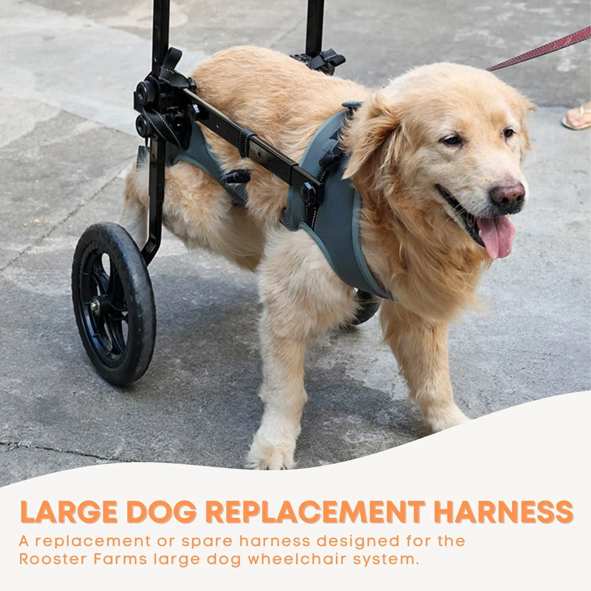 Rooster Farms Replacement Harness for Dog Wheelchair XXL - Large Dogs Up to 45Kg