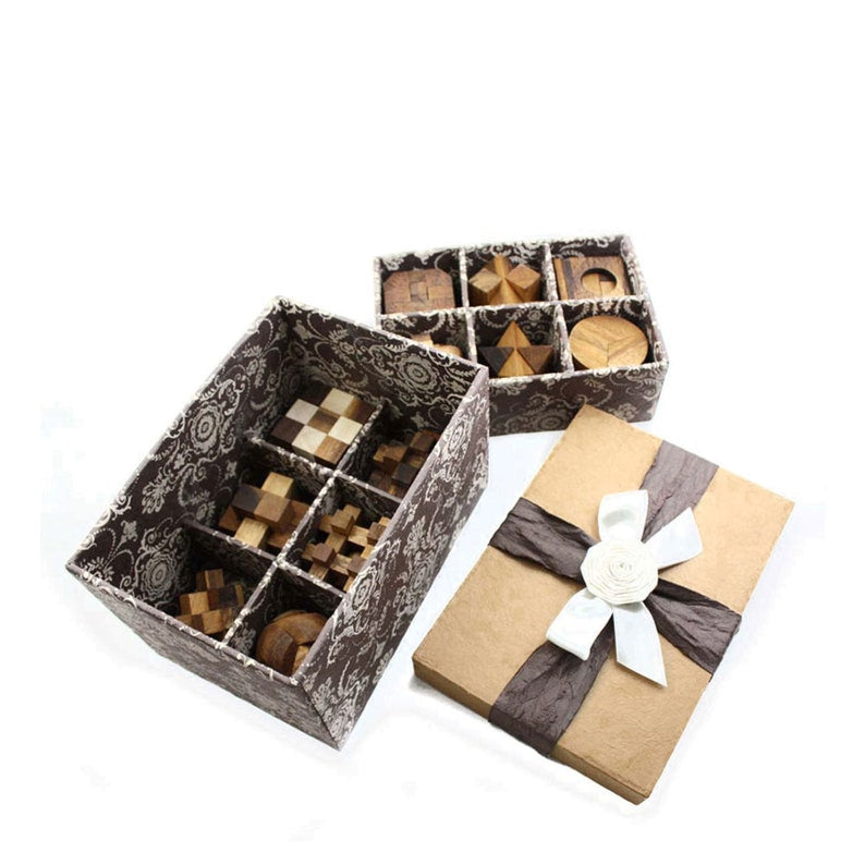 12 Puzzle Brain teaser interlocking wooden Puzzle set in a - for kids or adults