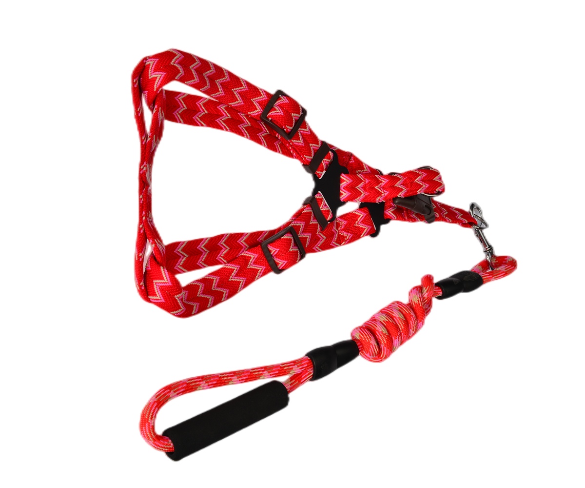 YES4PETS 2 X Medium Pet Dog Cat Puppy Kitten Rabbit - leash lead 5 Color