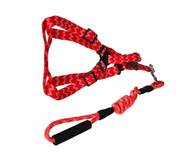 YES4PETS 2 X Medium Pet Dog Cat Puppy Kitten Rabbit - leash lead 5 Color