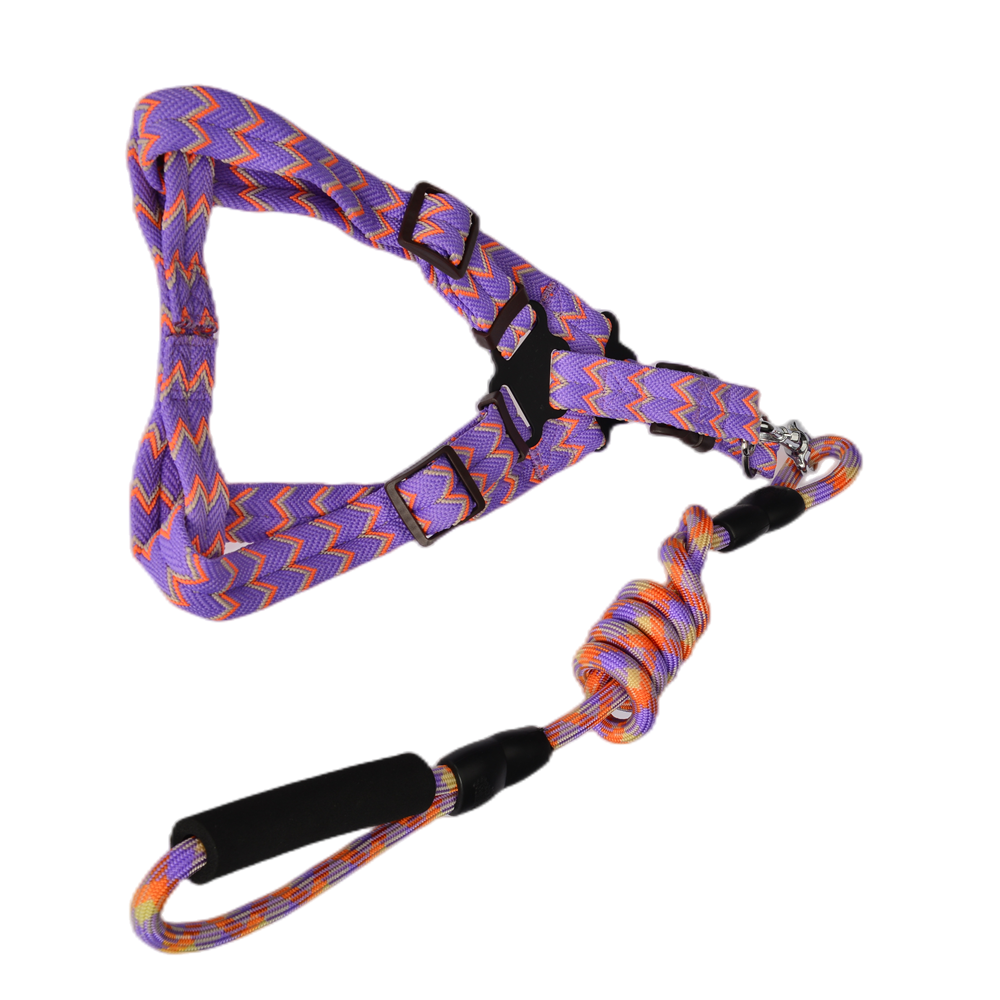 YES4PETS 2 X Medium Pet Dog Cat Puppy Kitten Rabbit - leash lead 5 Color
