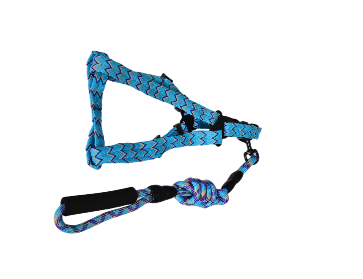 YES4PETS 2 X Medium Pet Dog Cat Puppy Kitten Rabbit - leash lead 5 Color