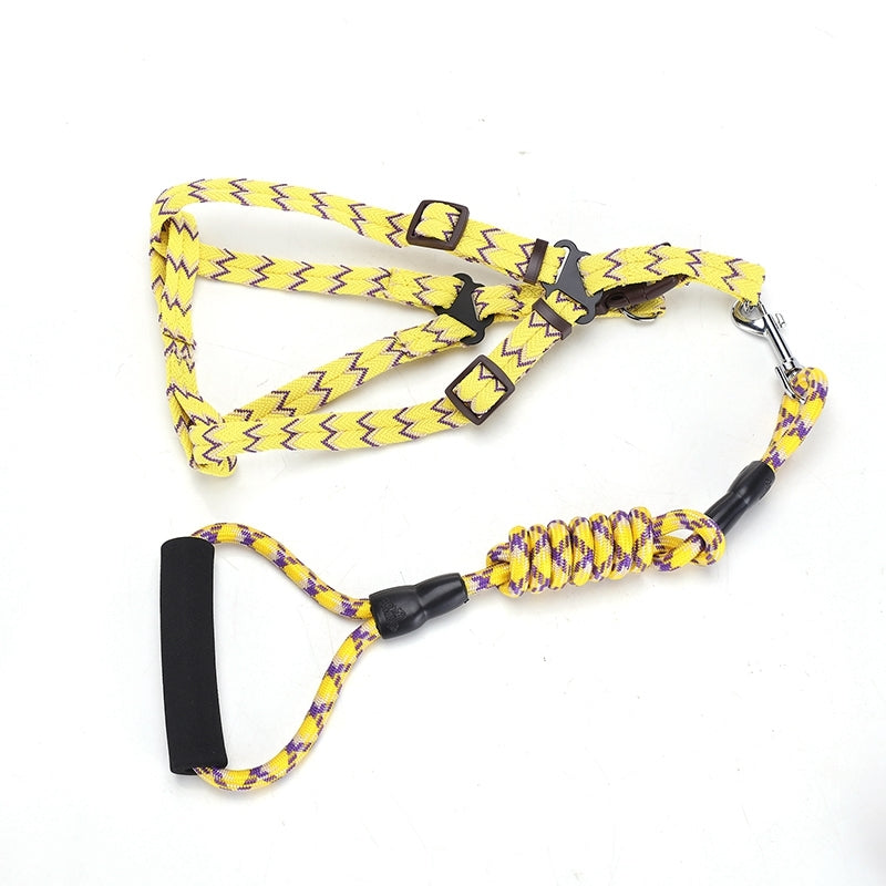 YES4PETS 2 X Medium Pet Dog Cat Puppy Kitten Rabbit - leash lead 5 Color
