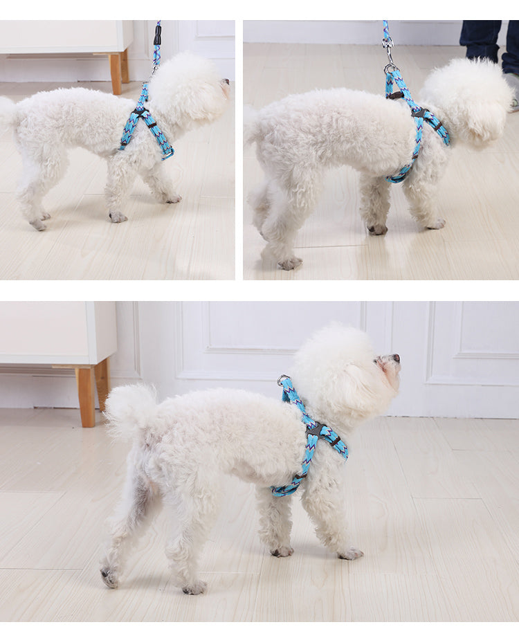YES4PETS 2 X Medium Pet Dog Cat Puppy Kitten Rabbit - leash lead 5 Color
