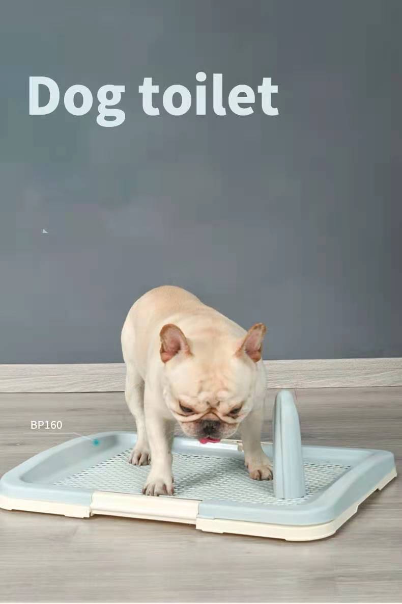 YES4PETS Large Portable Dog Potty Training Tray P - V278-BP160-L-POTTY-POLE-BLUE