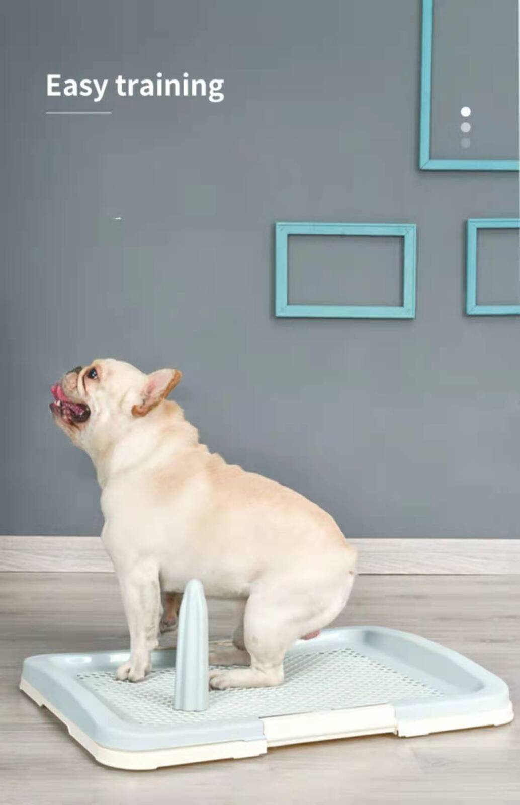 YES4PETS Large Portable Dog Potty Training Tray P - V278-BP160-L-POTTY-POLE-BLUE