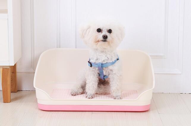 YES4PETS Medium Portable Dog Rabbit Potty Training T - V278-BP301-PET-POTTY-PINK