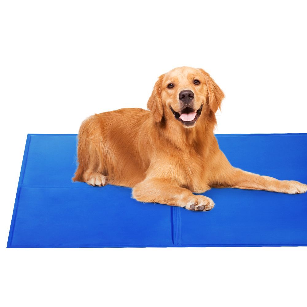 2 X Pet Cooling Bed Gel Mat Dog Cat Non-Toxic Cool Pad - V278-PET-BED-COOL-MX2