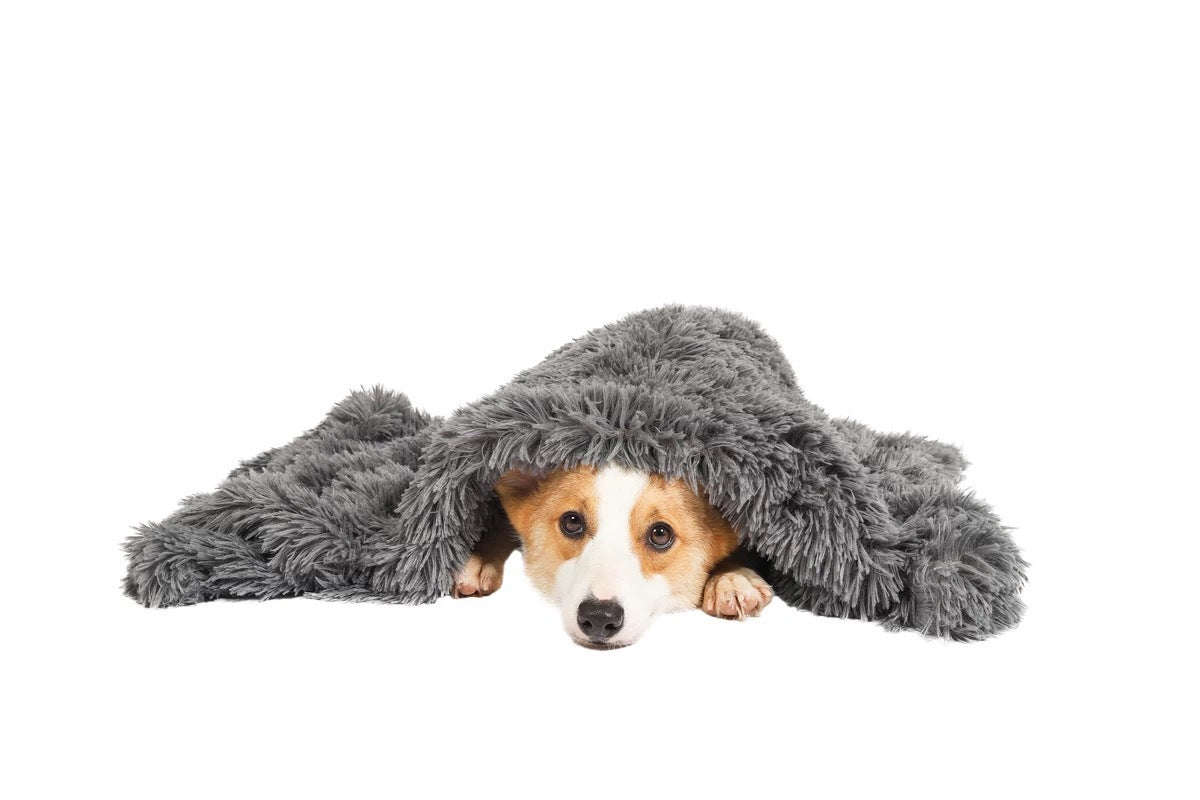 YES4PETS Pet Blanket Dog Cat Rug Puppy Kitten Calming - V278-PLUSH-BLANKET-M