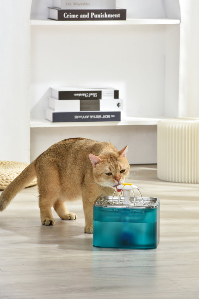 YES4PETS 3L Automatic Stainless Steel Pet Water Fountain Dog Cat Green