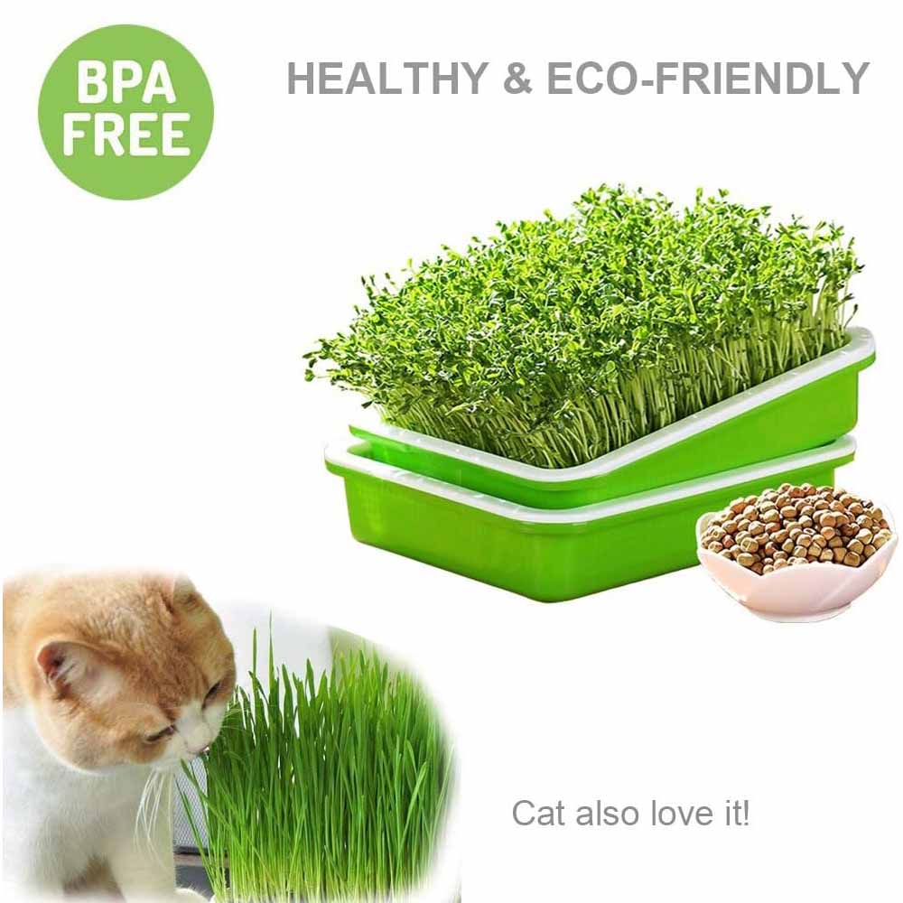 2 - Pack Seed Sprouter Trays with Lids BPA - Free, Soil - Free Wheatgrass