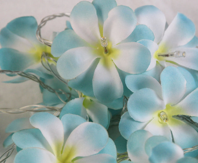 1 set 50 LED Tropical Blue Frangipani Flower Battery 5m LONG String Lights Beach