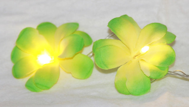 1 set 20 LED Green Frangipani Flower Battery String Lights Garland Wreath
