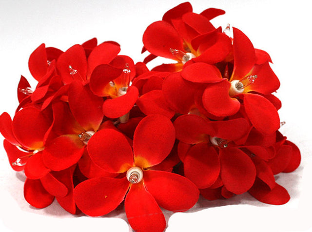 1 set 20 LED Deep Red Frangipani Flower Battery String Lights Garland Wreath