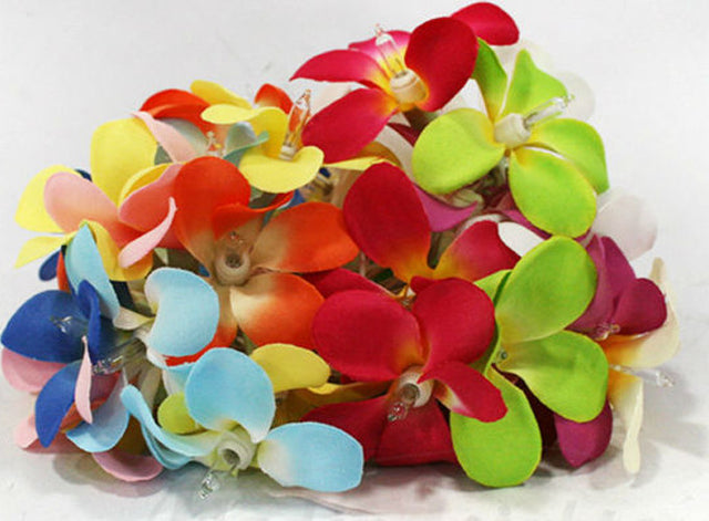 1 set 20 LED Tropical Bright Colous Frangipani Flower Battery String Lights