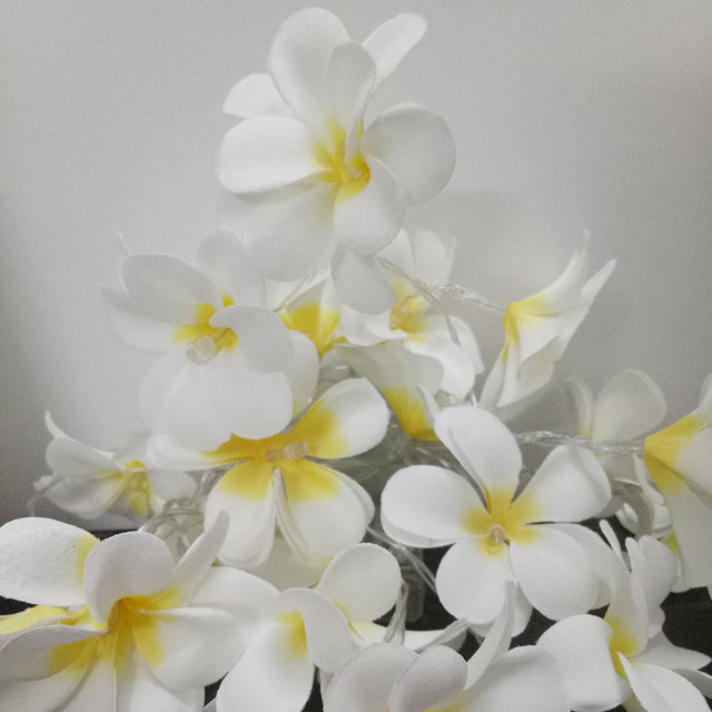 1 set 20 LED White Frangipani Flower Battery String Lights Beach