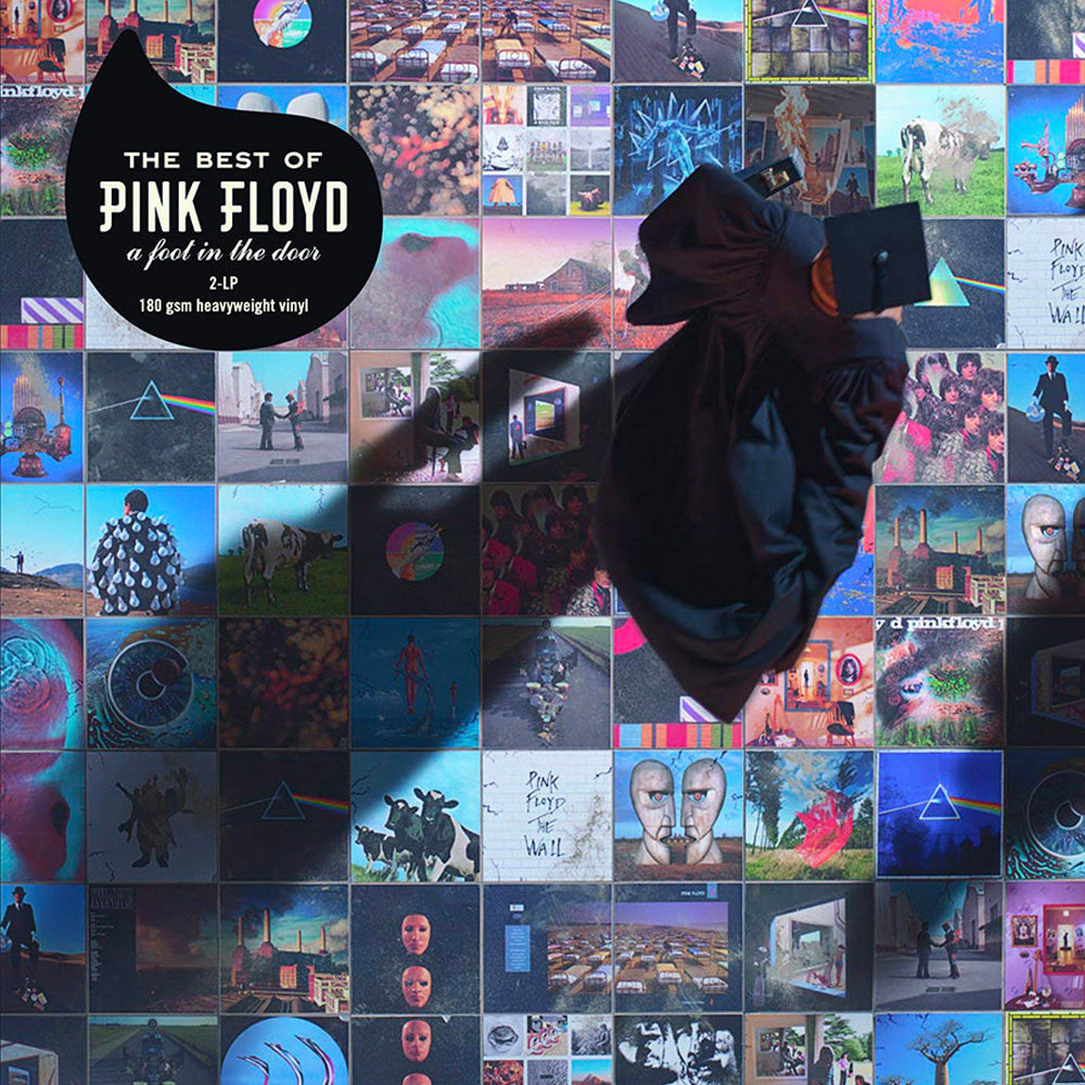 Pink Floyd The Best Of Pink Floyd: A Foot In - Record Storage Display Stand
