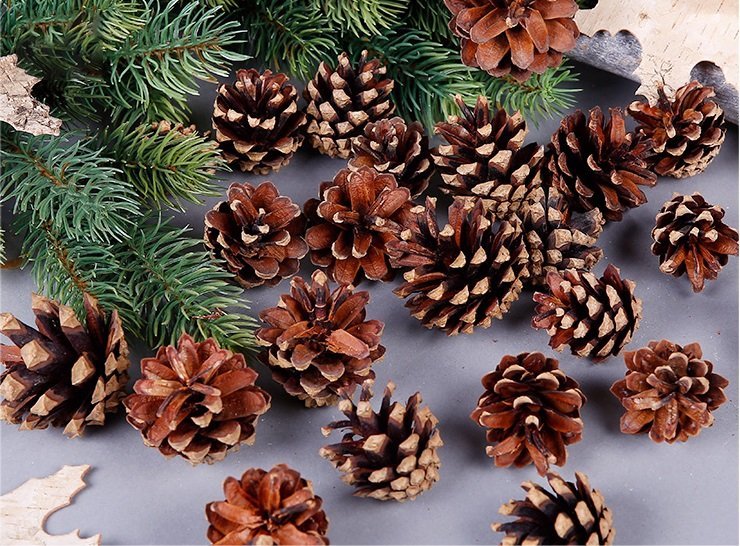 18 Christmas Natural Pine Cones Xmas Tree Hanging Home Decoration Ornament