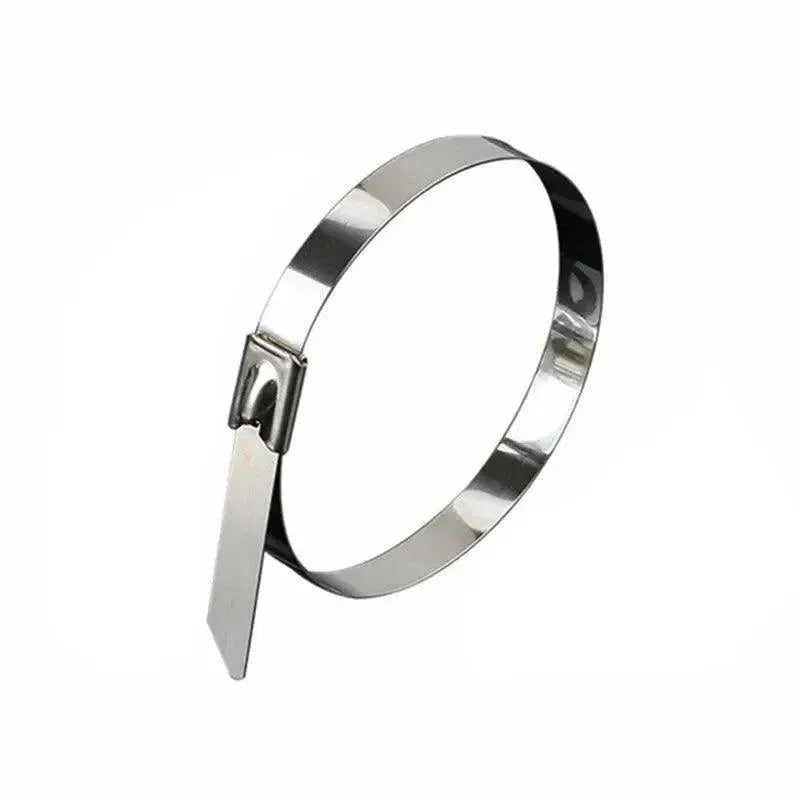 20X Stainless Steel Cable Ties S304 Marine Grade Zip Strap Locking Wrap 100-800Mm - 7.9x250mm