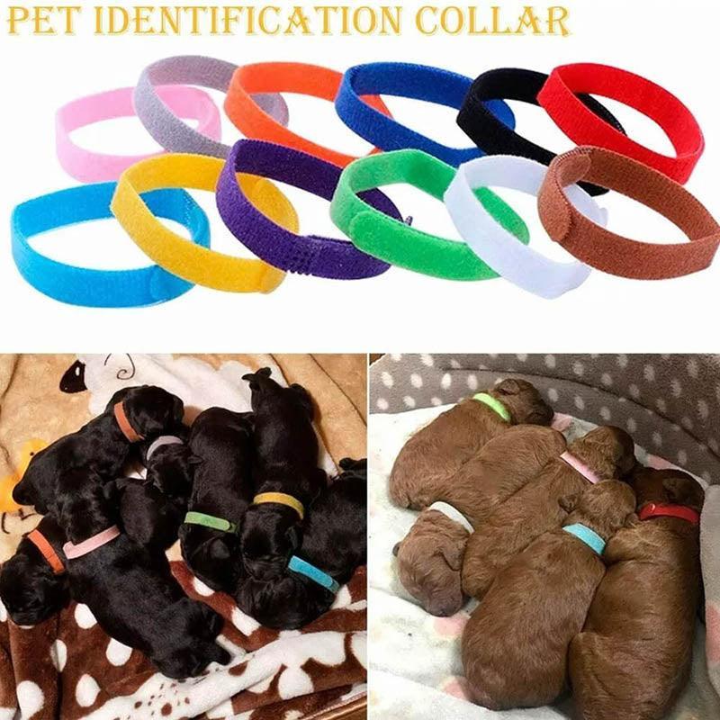 12 Colour Soft ID Collars for Puppies and Kittens Adjustable Pet Identifier Bands