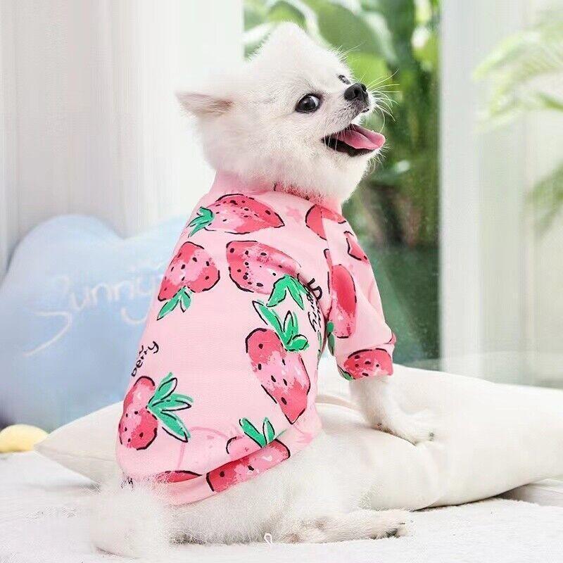 M Size Cute Pet Dog Warm Jumper Sweater Clothes Cat Knitwear Knitted Coats Winter - Yellow Shiba Inu