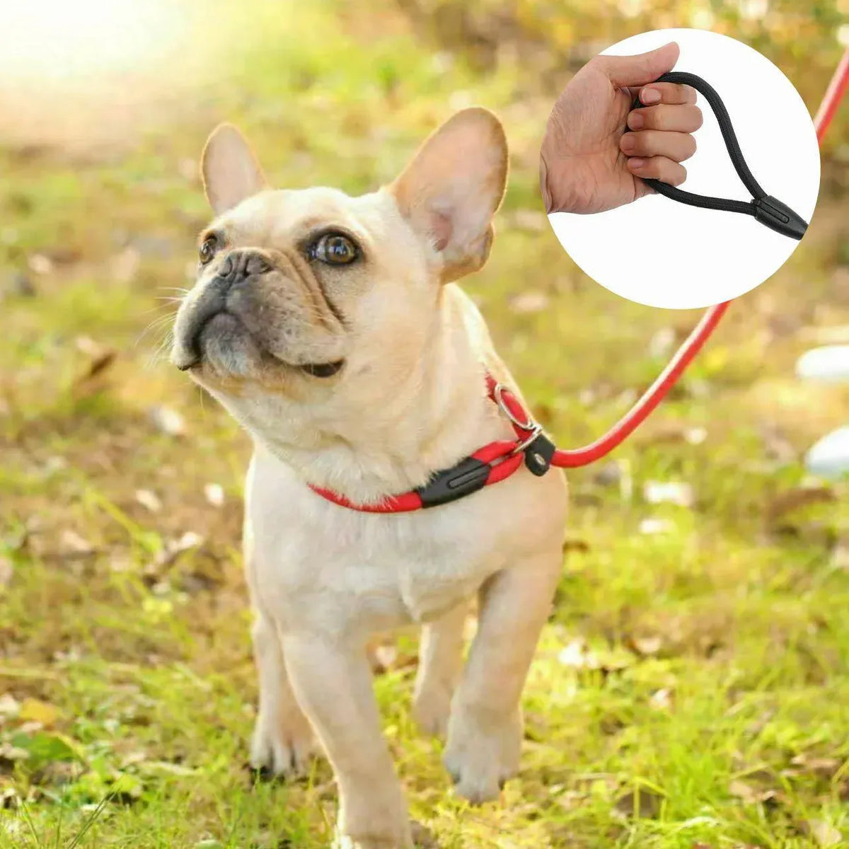 Dog Training Correction Leash Lead Cesar Puppy Pets Millan Slip Nylon Rope 10*140mm - Blue