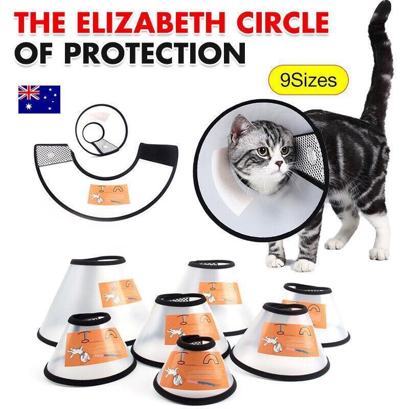Pet Cat Dog Protective Cone Collar Elizabethan E Collar Wound Healing Recovery - 7