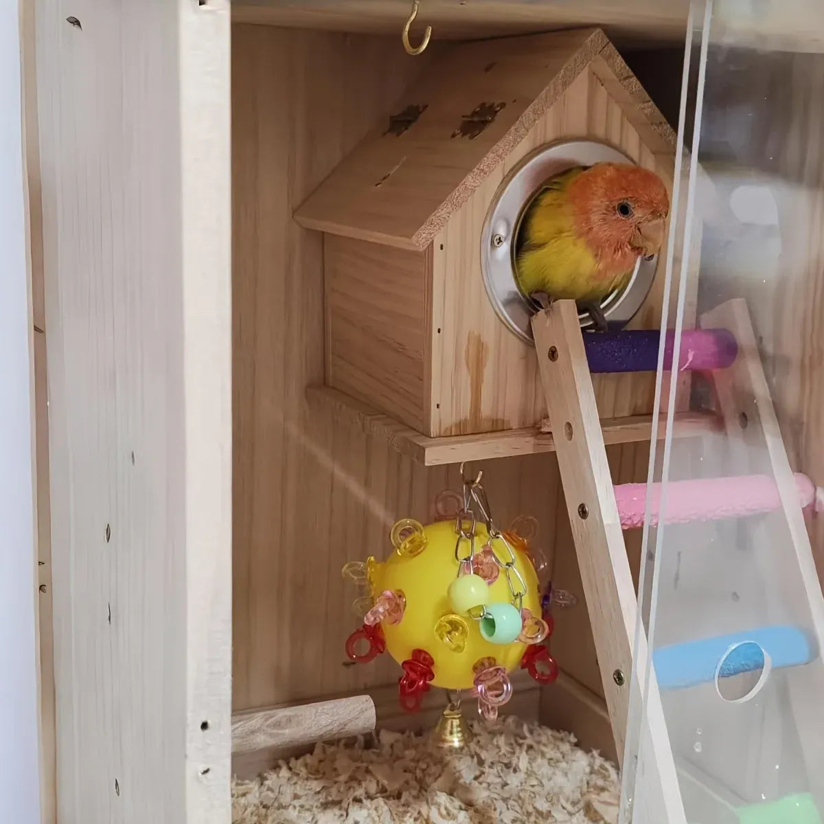 Pet Parrot Bird Toy Small Sun Multicolor Relieve Boredom Chew Bite Hanging Ball