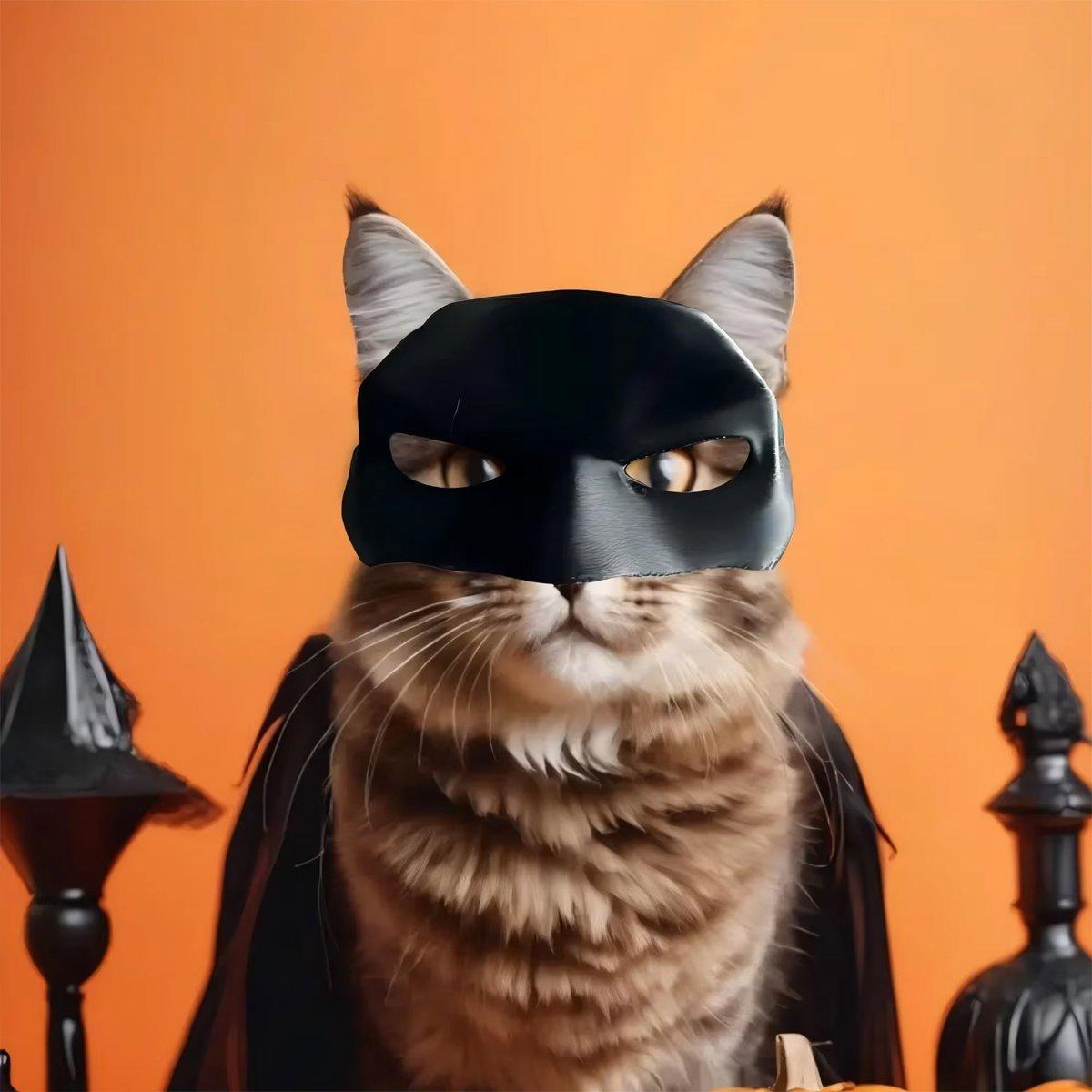 Halloween Bat Mask Cat Mask Pet Costume Accessories for Small Dogs Cats Outfit - S