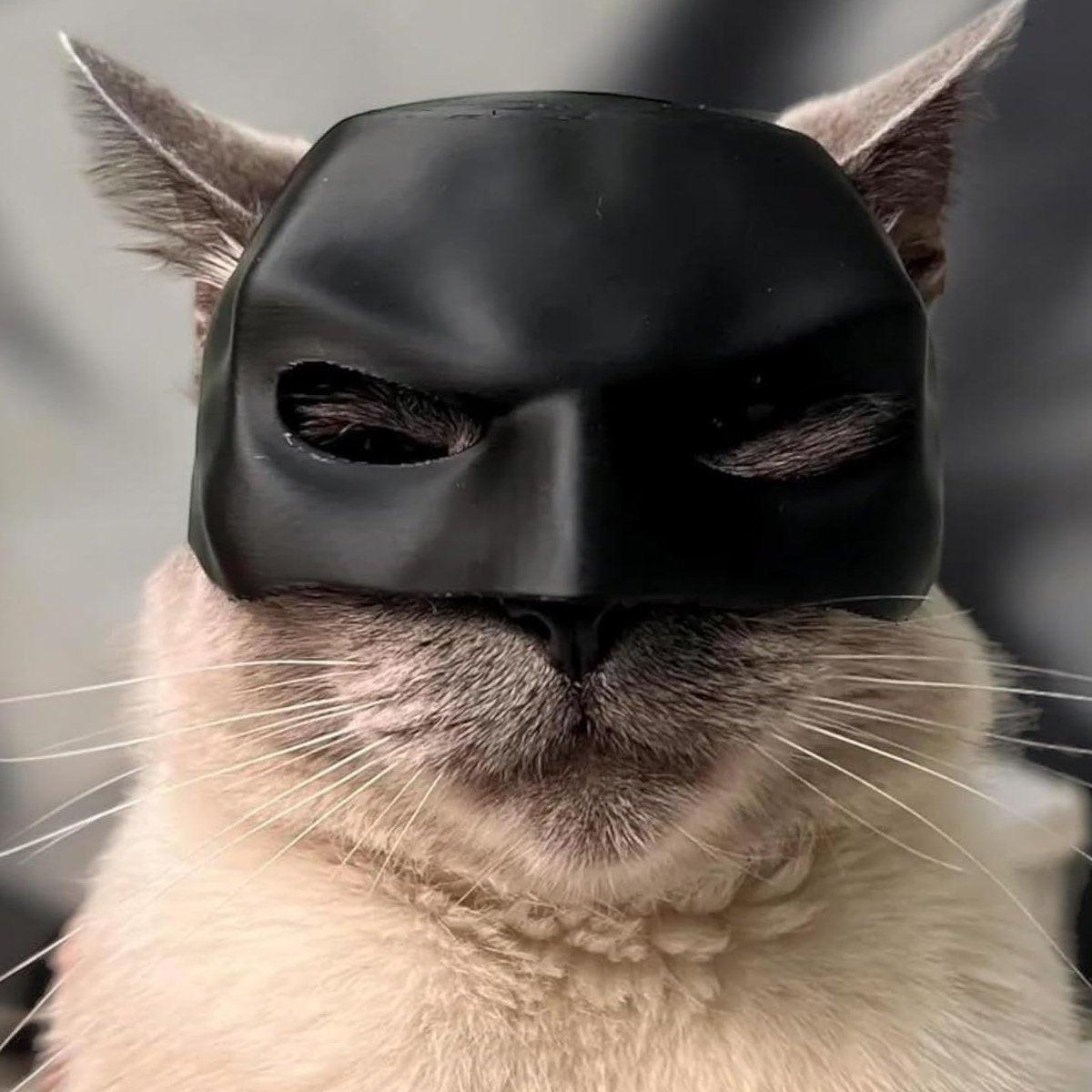 Halloween Bat Mask Cat Mask Pet Costume Accessories for Small Dogs Cats Outfit - S
