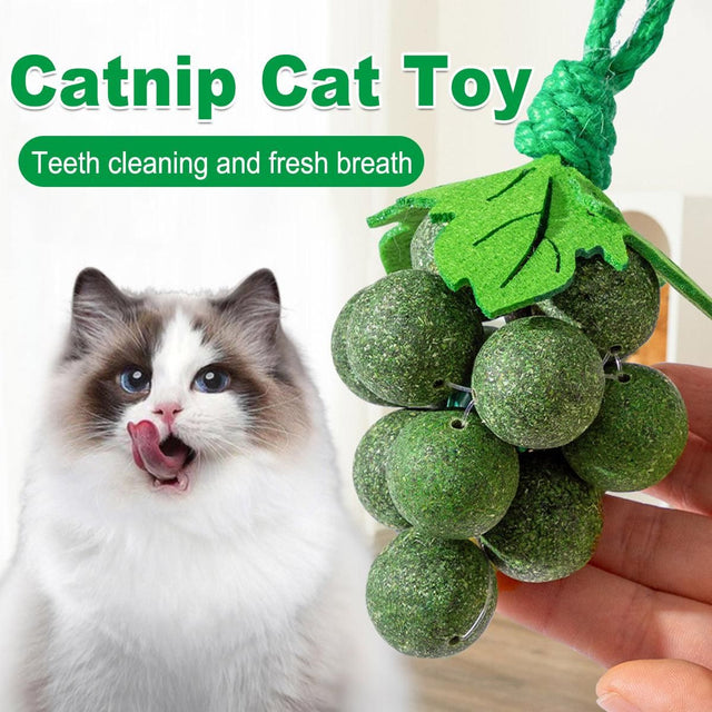 Catnip Toys Mint Ball Teeth Grinding Cleaning Teasing Toy for Cats Oral Health