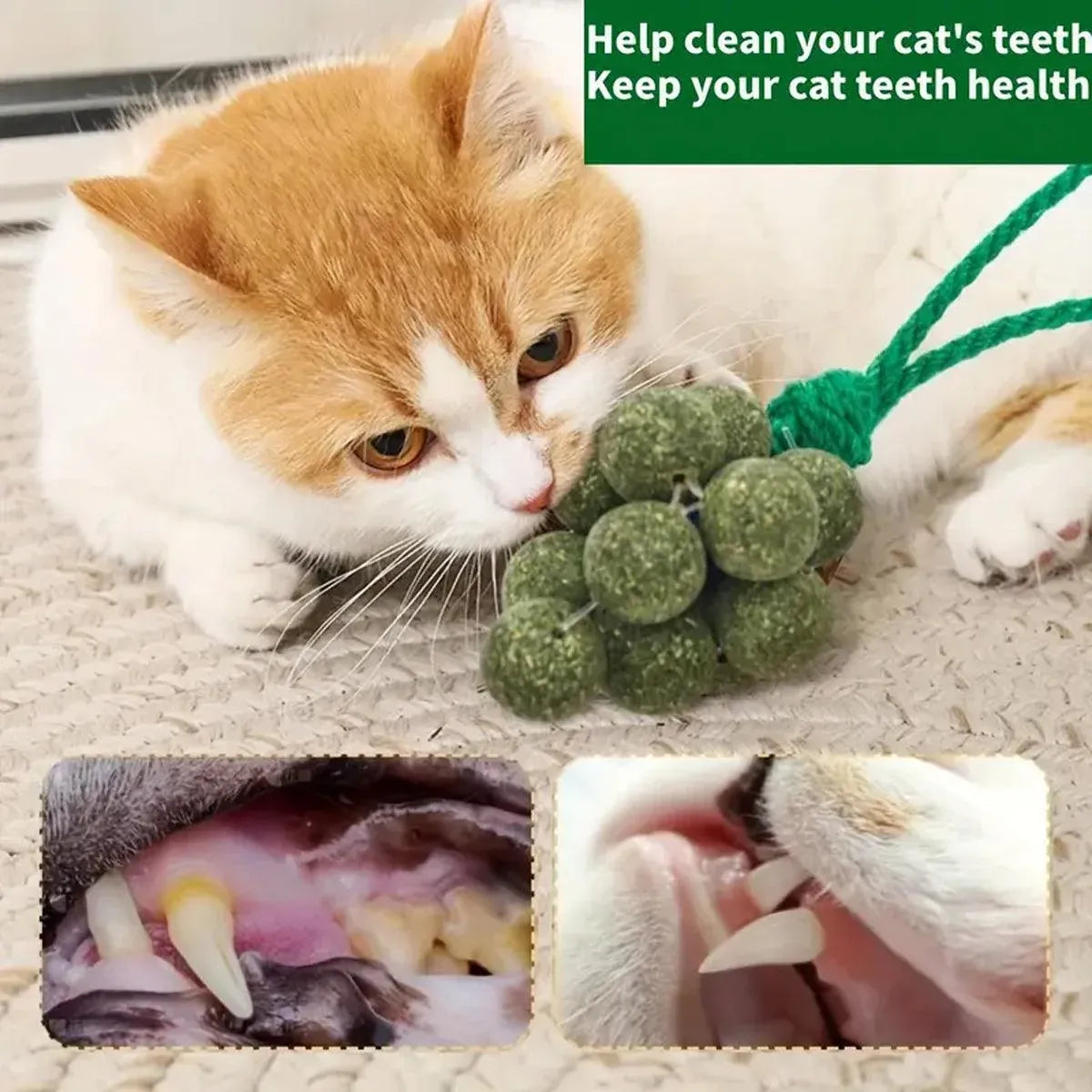 Catnip Toys Mint Ball Teeth Grinding Cleaning Teasing Toy for Cats Oral Health